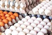 صادرات 22 تن تخم مرغ از مبدا شهرستان طرقبه و شاندیز به مقصد کشور قطر  